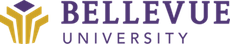 Om Mgmtinfosys Bellevue University Logo