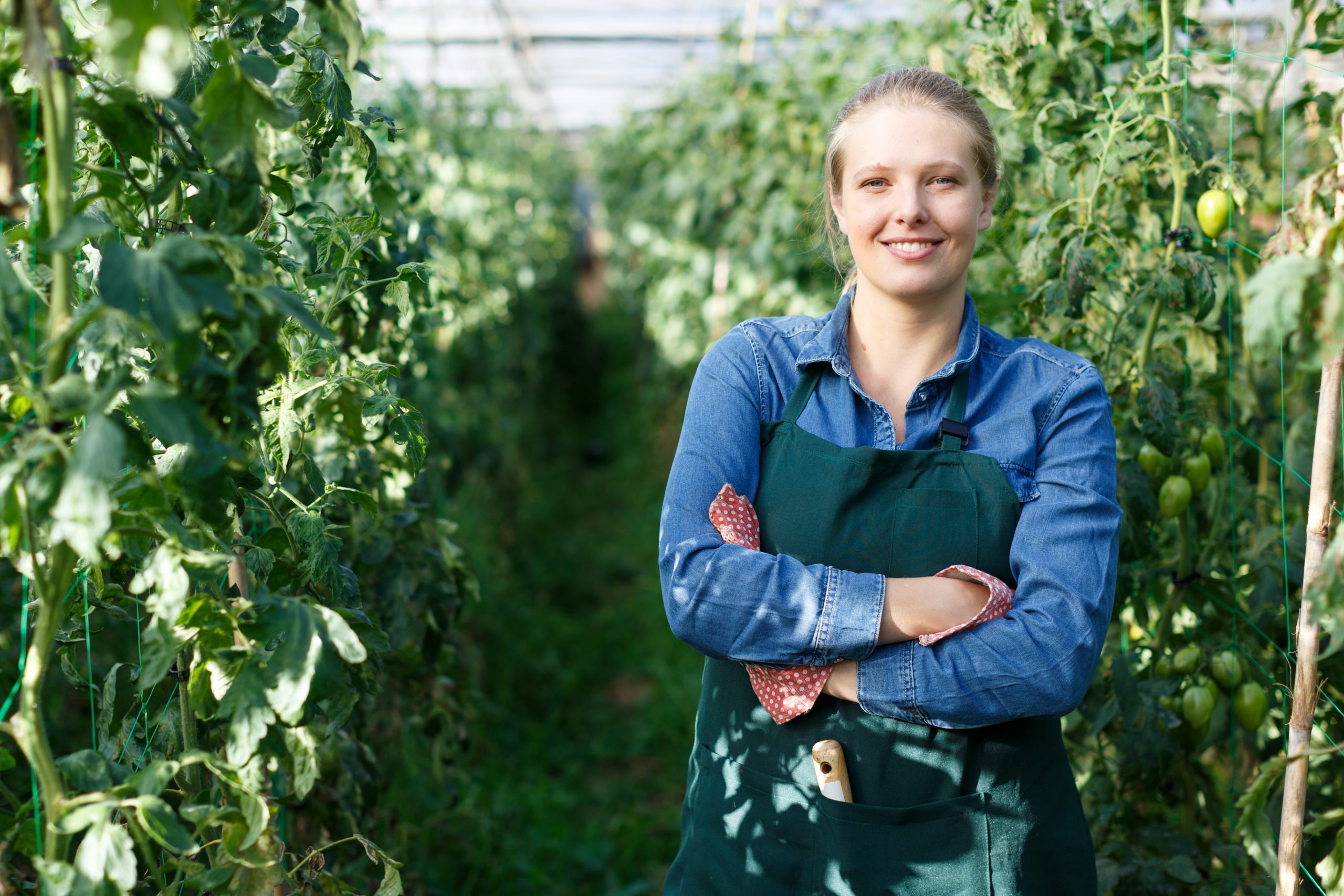affordable schools do you need a degree to be a horticulturist becoming a horticulturist